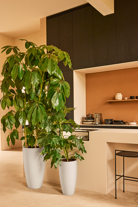 june round high 30cm linen white